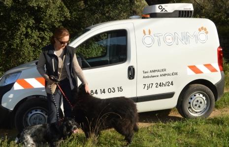 Taxi animalier nimes transport d animaux ales ambulancier animalier gard 31