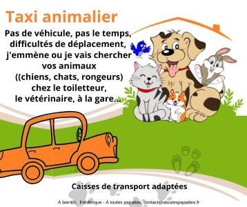 Taxi animalier rennes transport d animaux fougeres taxi canin felin nac ille et vilaine 35 1