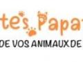 Taxi animalier rennes transport d animaux fougeres taxi canin felin nac ille et vilaine 35