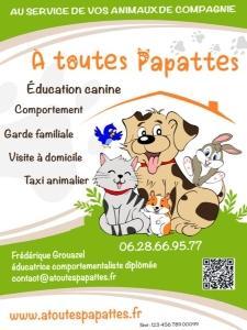 Taxi animalier rennes transport d animaux fougeres taxi canin felin nac ille et vilaine