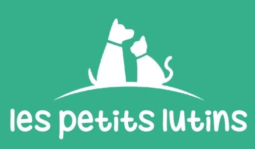 71 Vente chien Berger Australien & Achat chiot - Chalon-sur-Saône