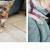 Vente chien chihuahua achat chiot chihuahua eleveur canin petites annonces entre particuliers