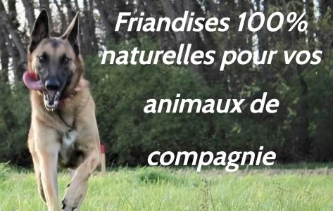 Vente friandises naturelles chien strasbourg vente friandises naturelles chat selestat vente friandises naturelles nac bas rhin